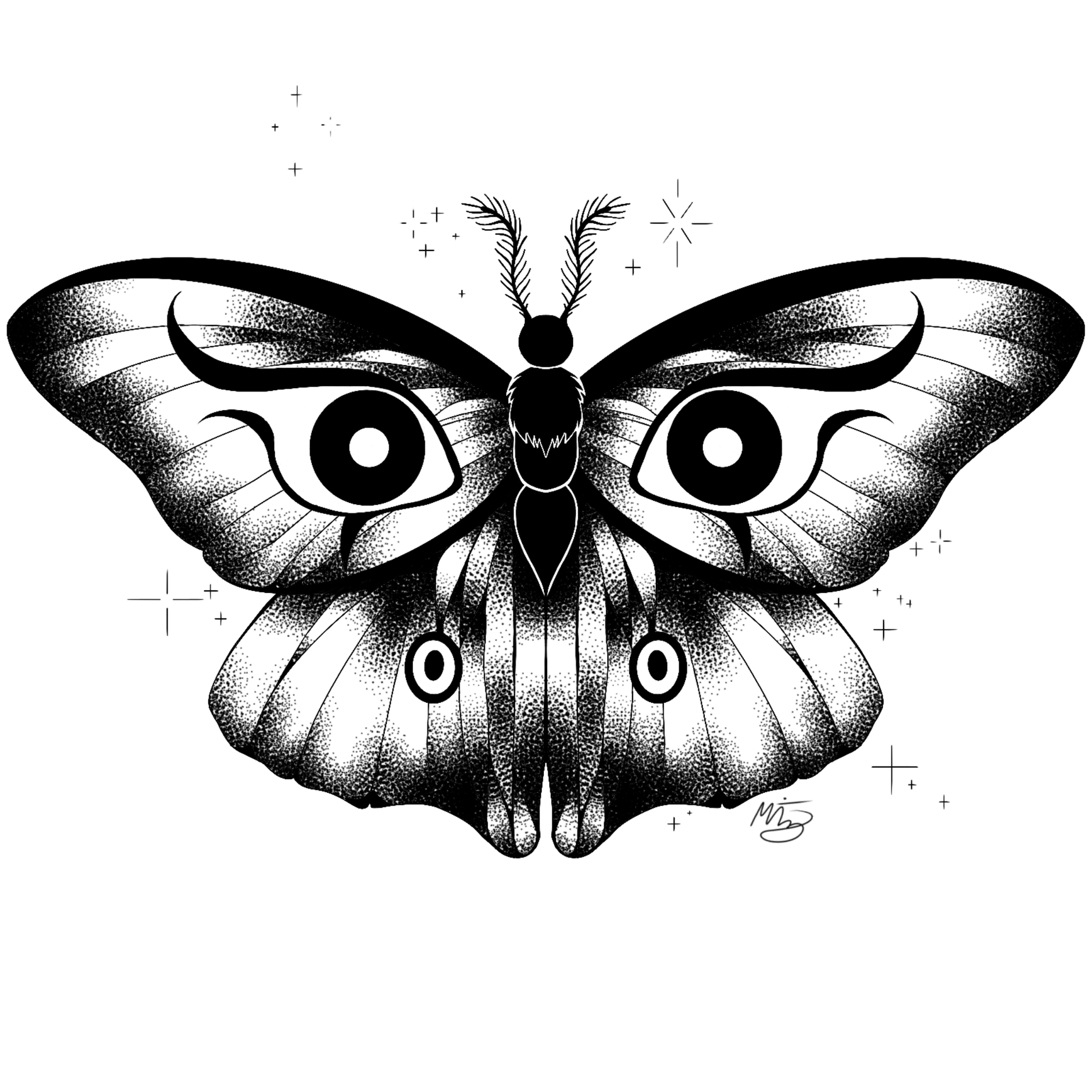 Moth by Meredith Mulvany
