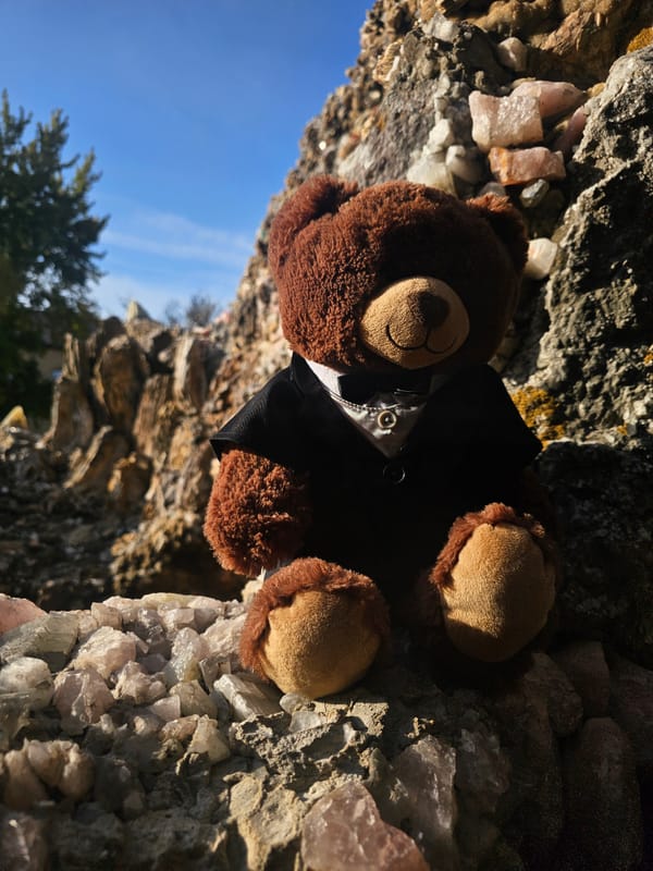 "Adventures with Barthy" by Kalynn Marxen