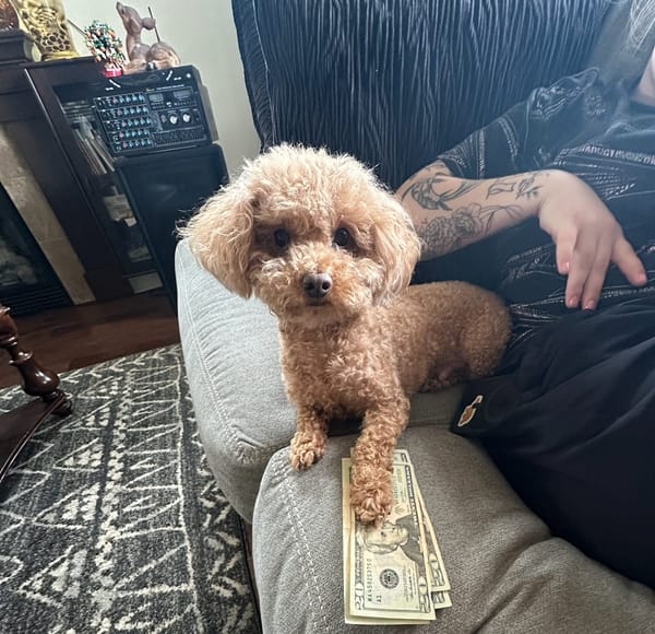 Flexing that Moolah, Photography by Arden Phan