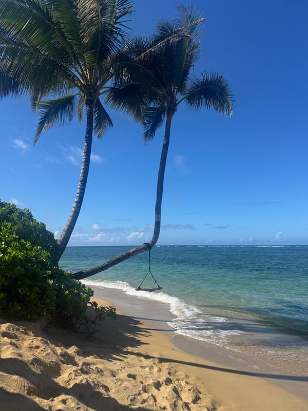 "Peace and Quiet" by Skylar Cooper